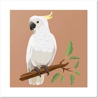 Cockatoo bird Posters and Art